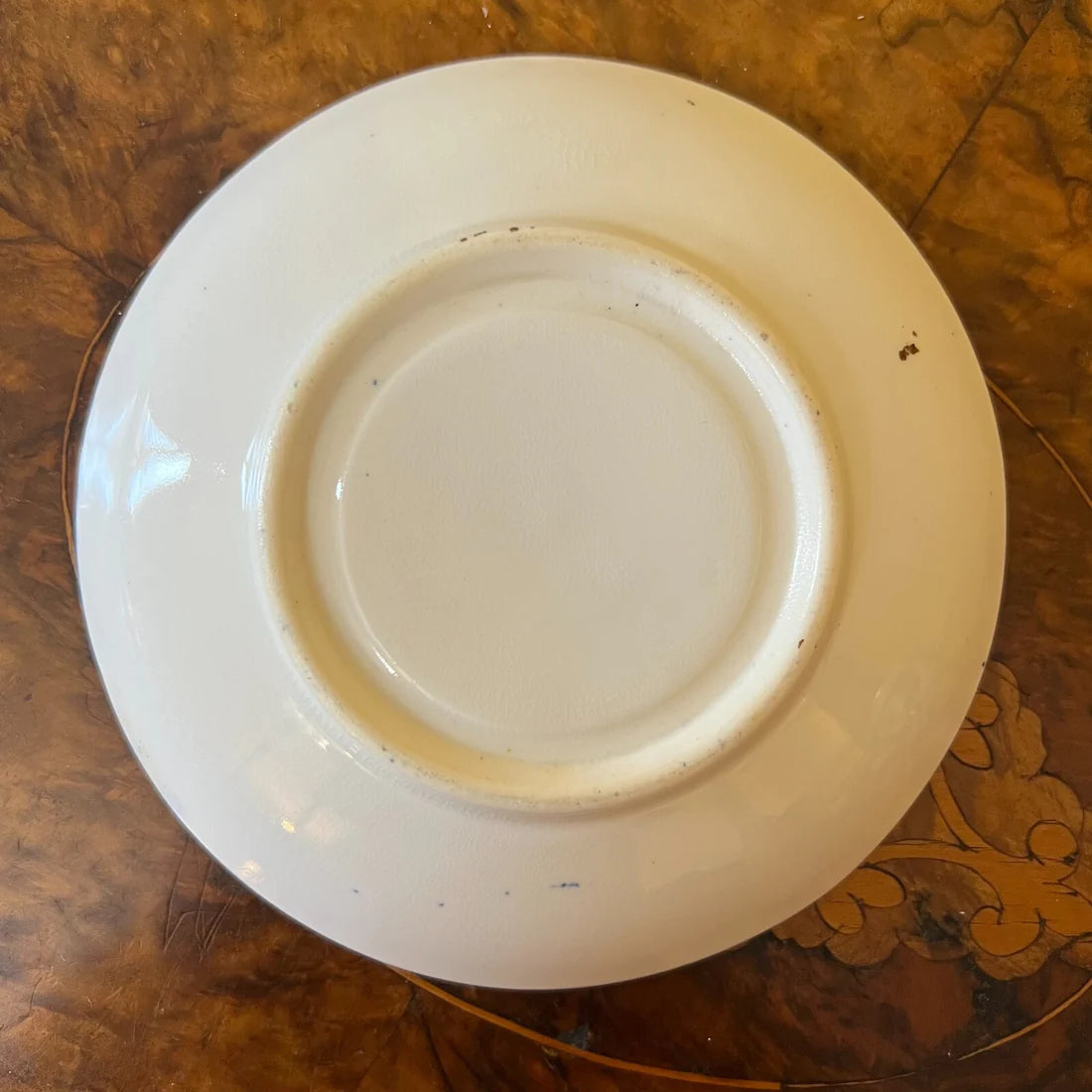 Vintage Cobalt & Gold Tea Cup & Saucer