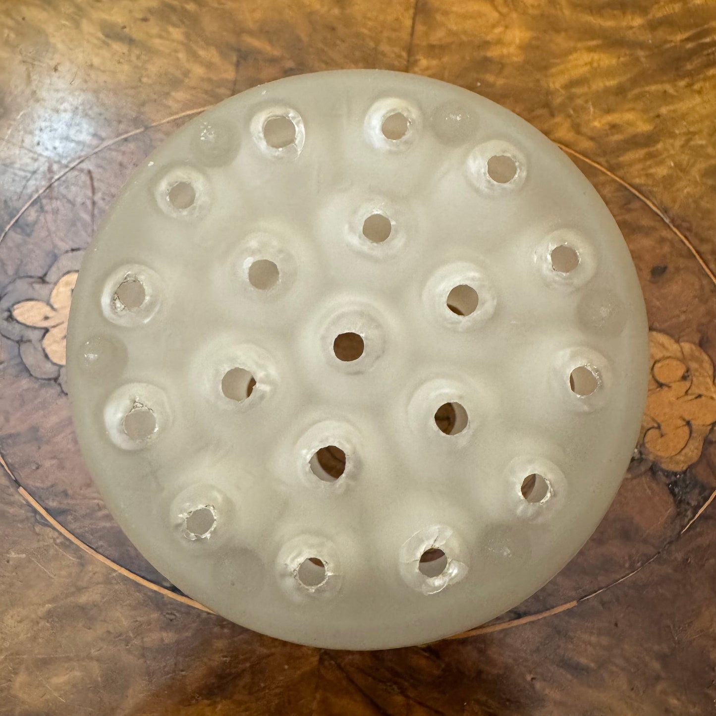 Davidson 19-Hole Dome Frosted Flower Frog