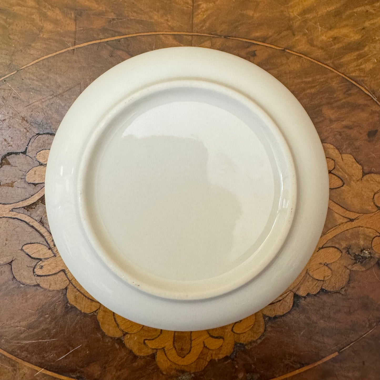 Austria Edelweiss Flower Print Small Dish