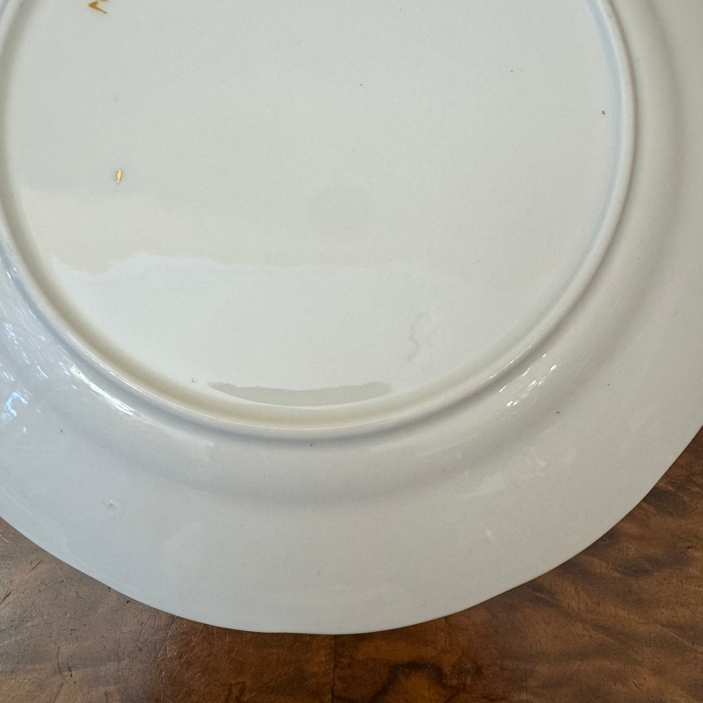 Antique Bird Of Paradise Floral Print Tea Cup Trio Set