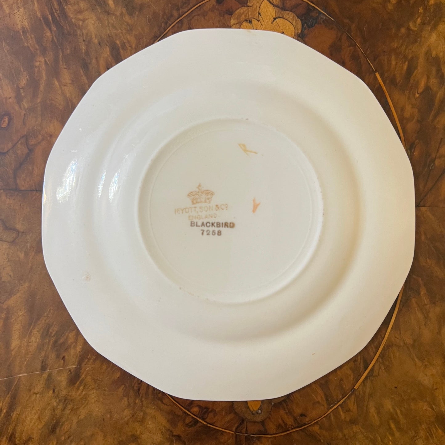 Myott & Sons Blackbird Plate