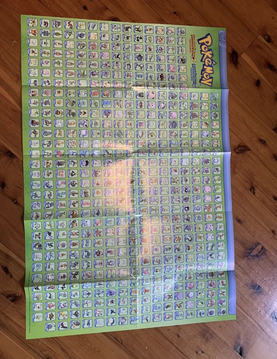 Pokemon Pokedex Kanto Region Book