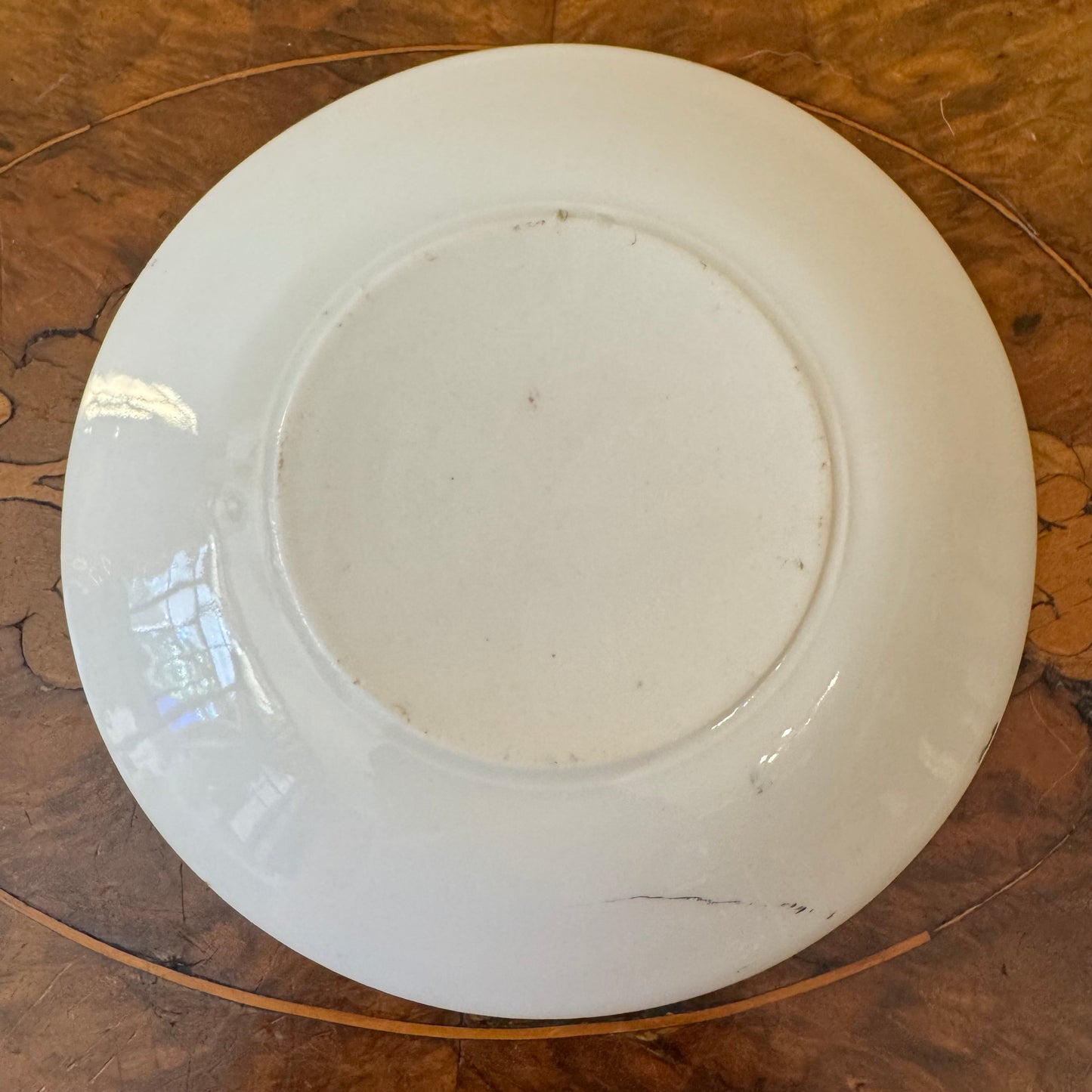 Royal Bayreuth Green Floral Print Saucer Plate