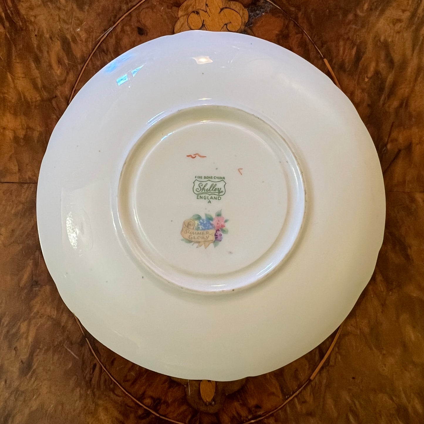Shelley Summer Glory Saucer