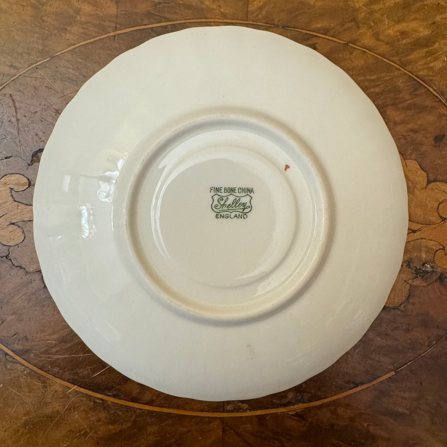 Shelley White & Blue Shell Demitasse Saucer