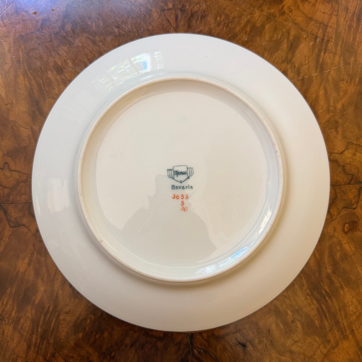 Thomas Bavaria Parrot Print Plate