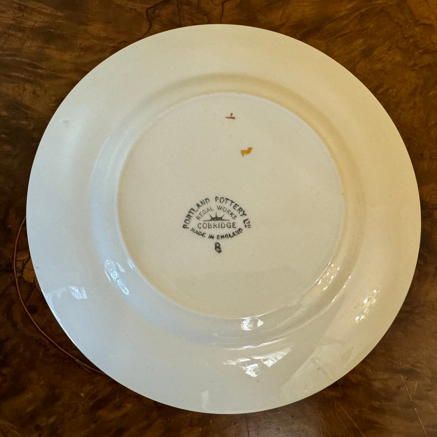 Vintage Portland Pottery Cobridge Side Plate