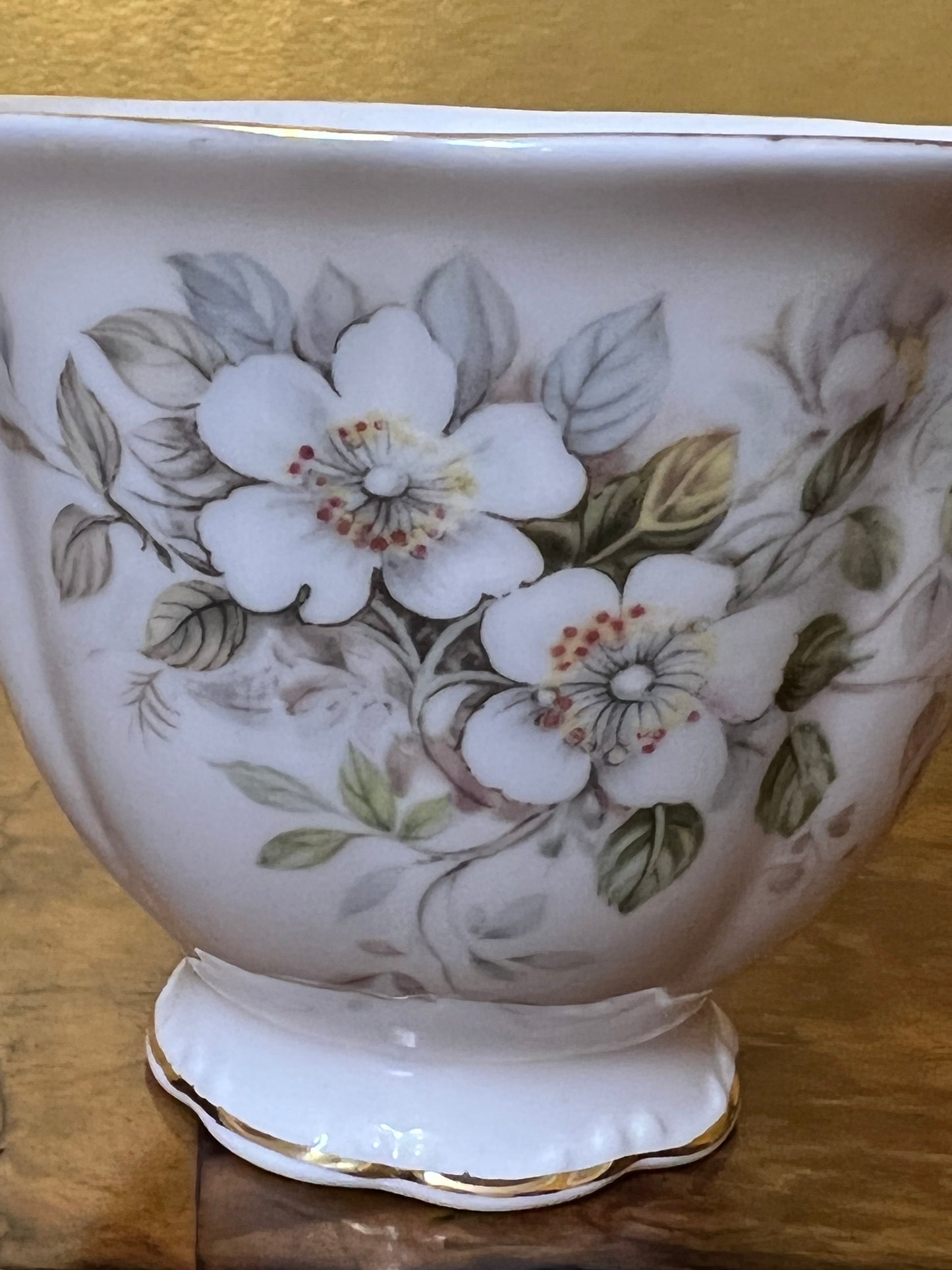 Royal Albert Haworth Floral Print