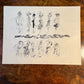 A Portfolio Of Petty: The work Of Bruce Petty Political Cartoonist 129/1000