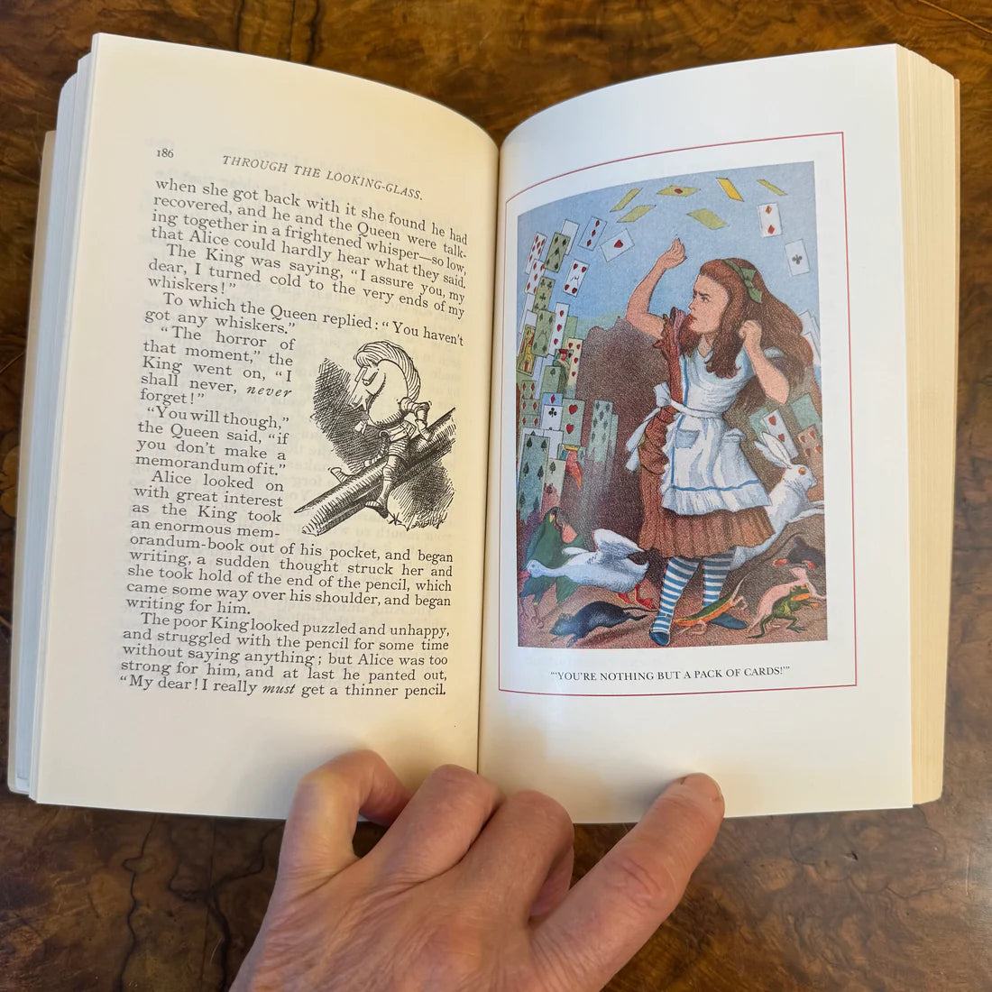 Alice in Wonderland and Through the Looking Glass by Lewis Carroll (Author), Camille Paglia (Foreword) ~ 1994, Paperback