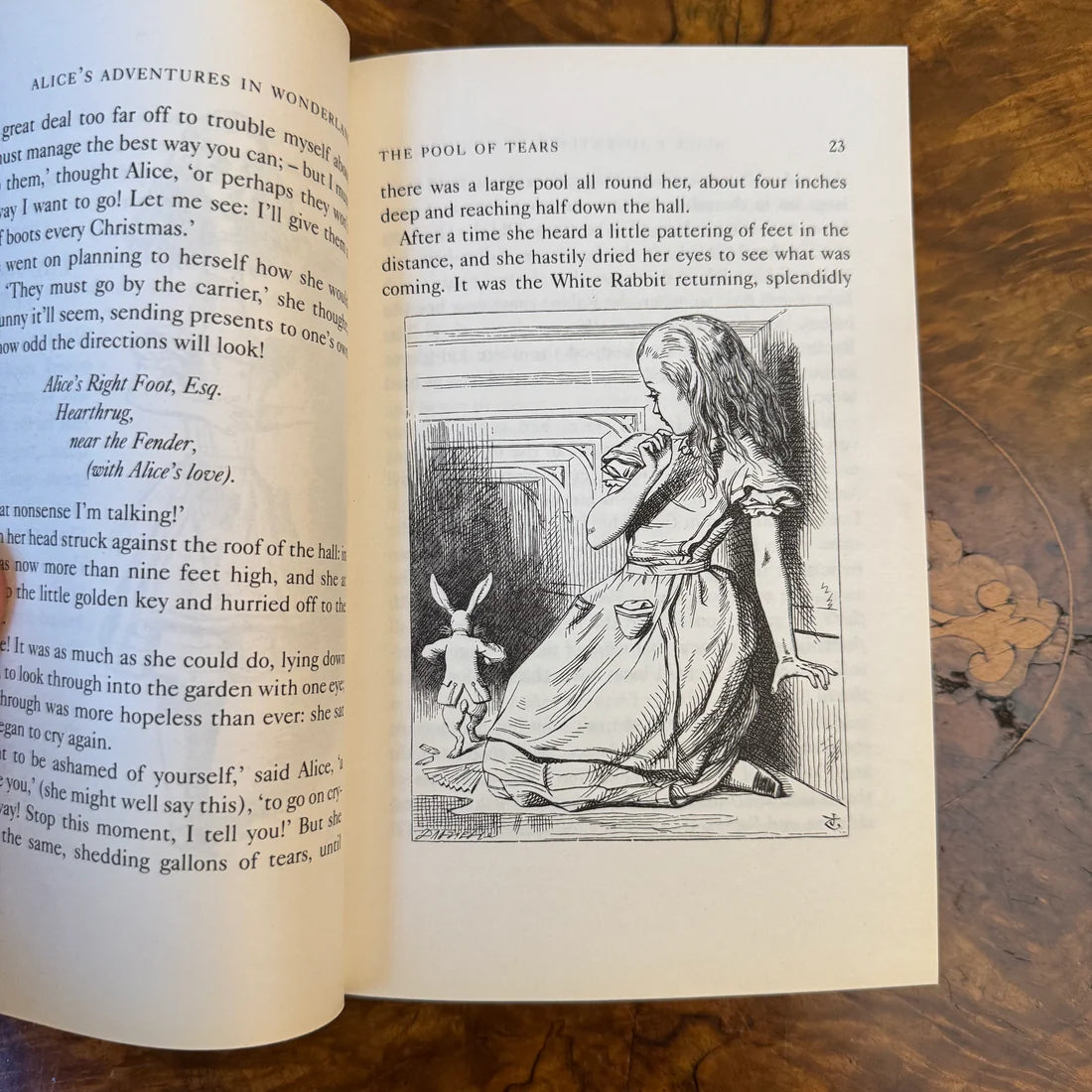 Alice's Adventures In Wonderland By Lewis Carrol Paperback Book
