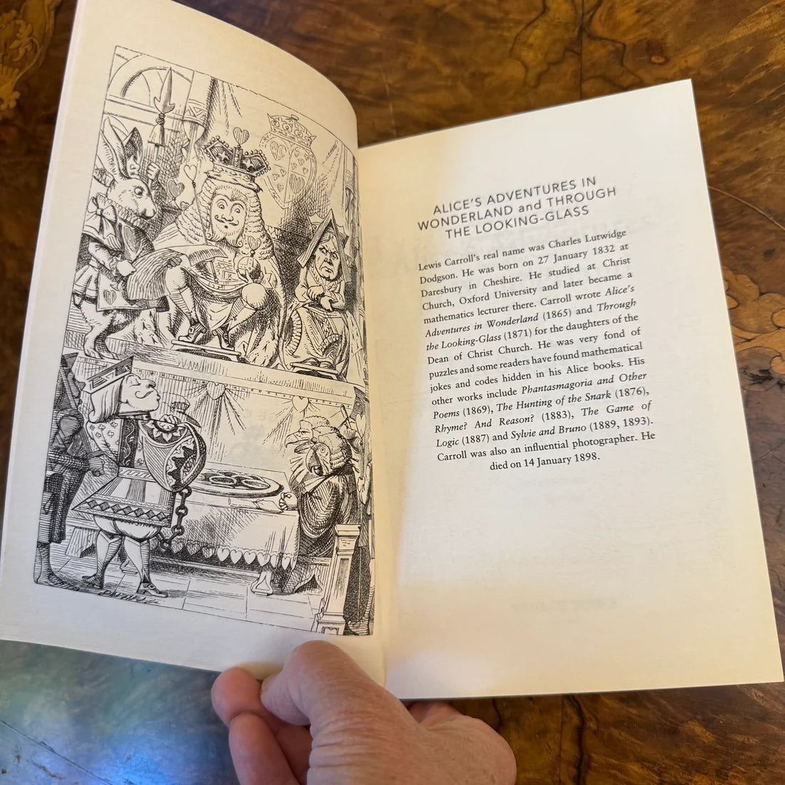 Alice's Adventures In Wonderland By Lewis Carrol Paperback Book