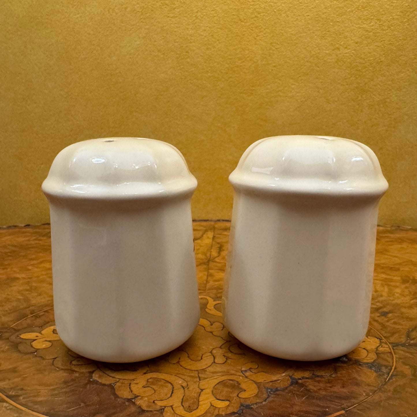 Austrian Porcelain Salt And Pepper Shakers