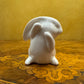Bunny Rabbit 