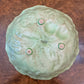Carlton Ware Tomato Salad Bowl 