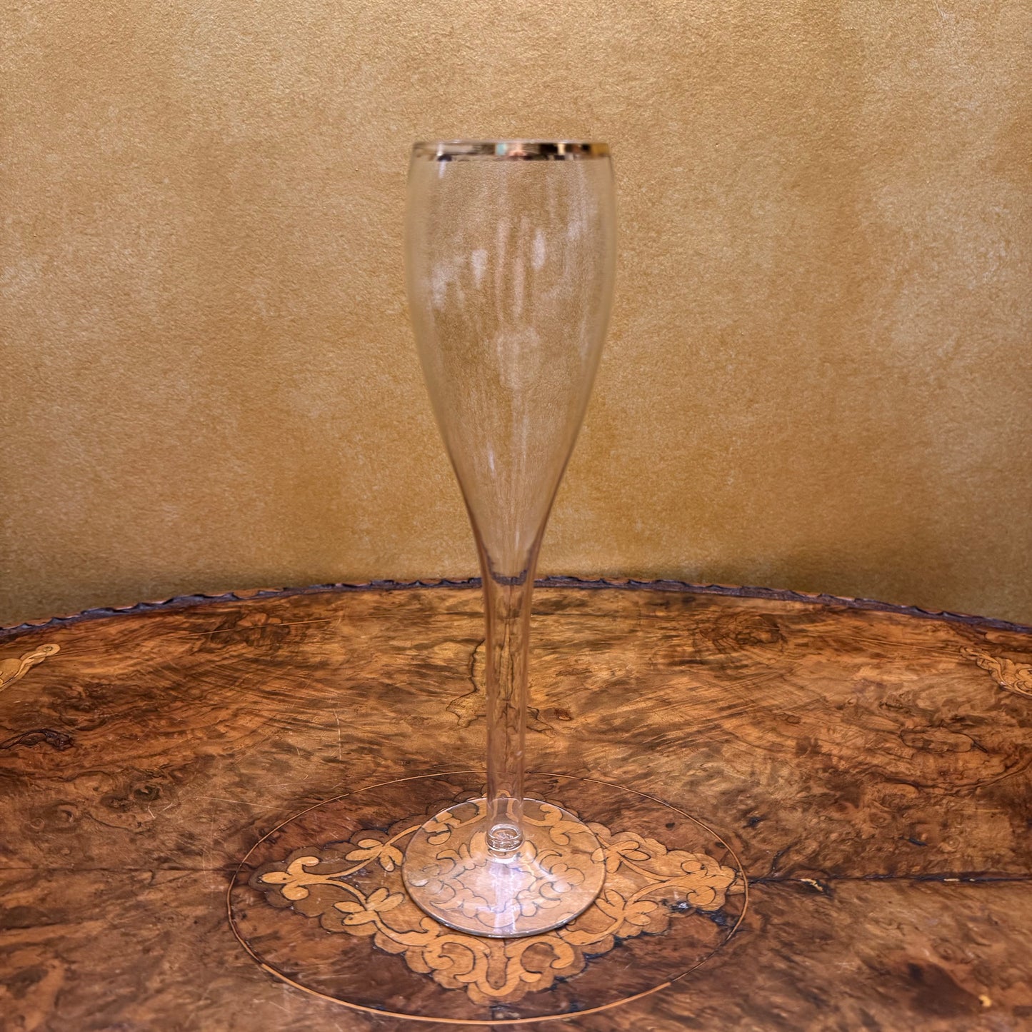 Champagne Hollow Stem Flutes Set 