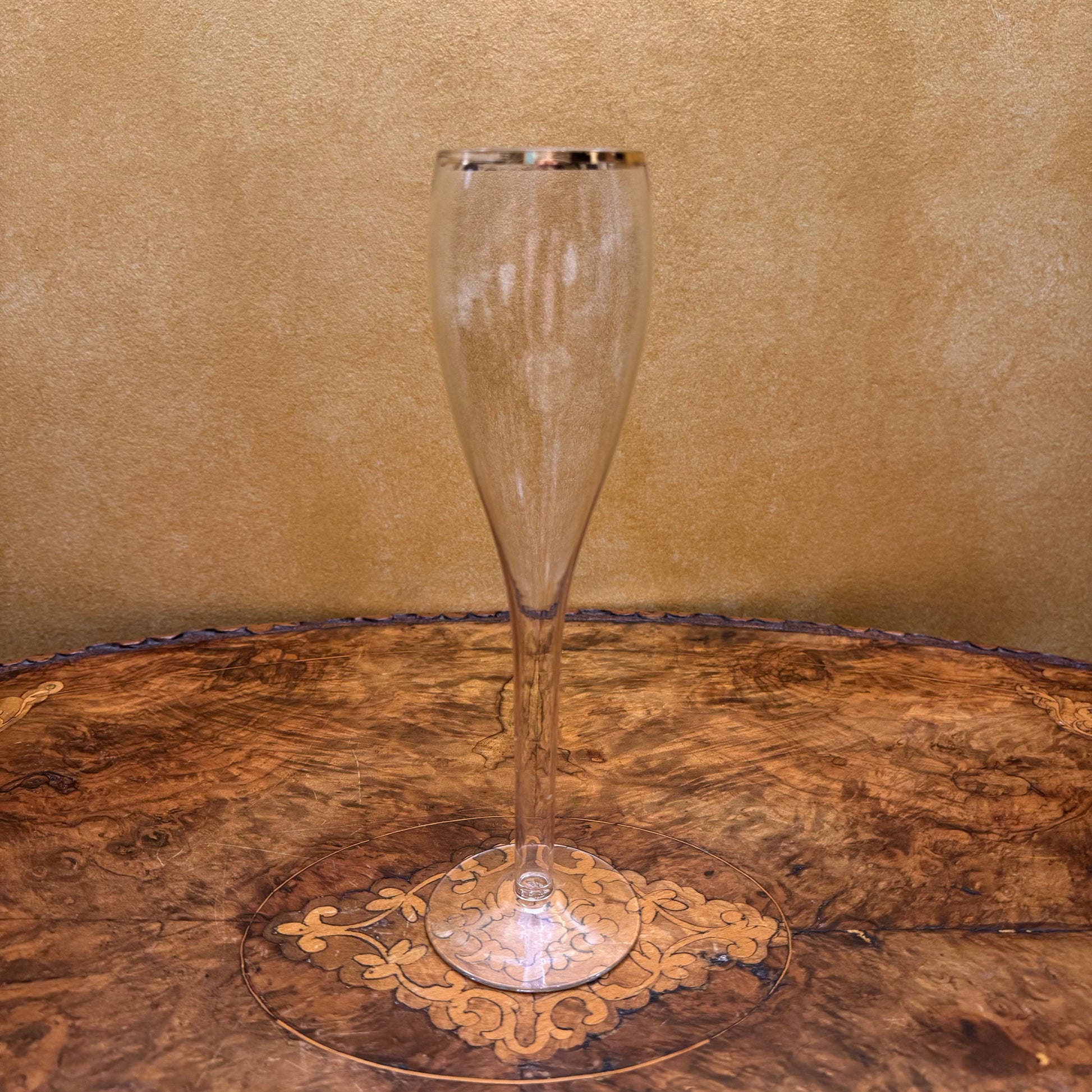 Champagne Hollow Stem Flutes Set 