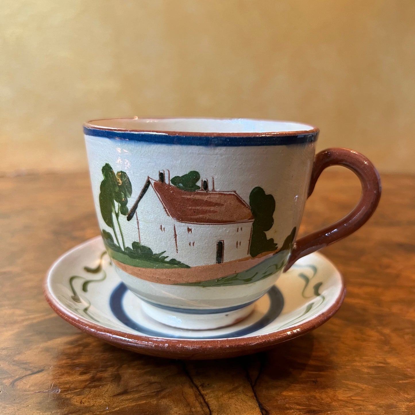 Devon Motto Ware Tea Cup & Saucer 