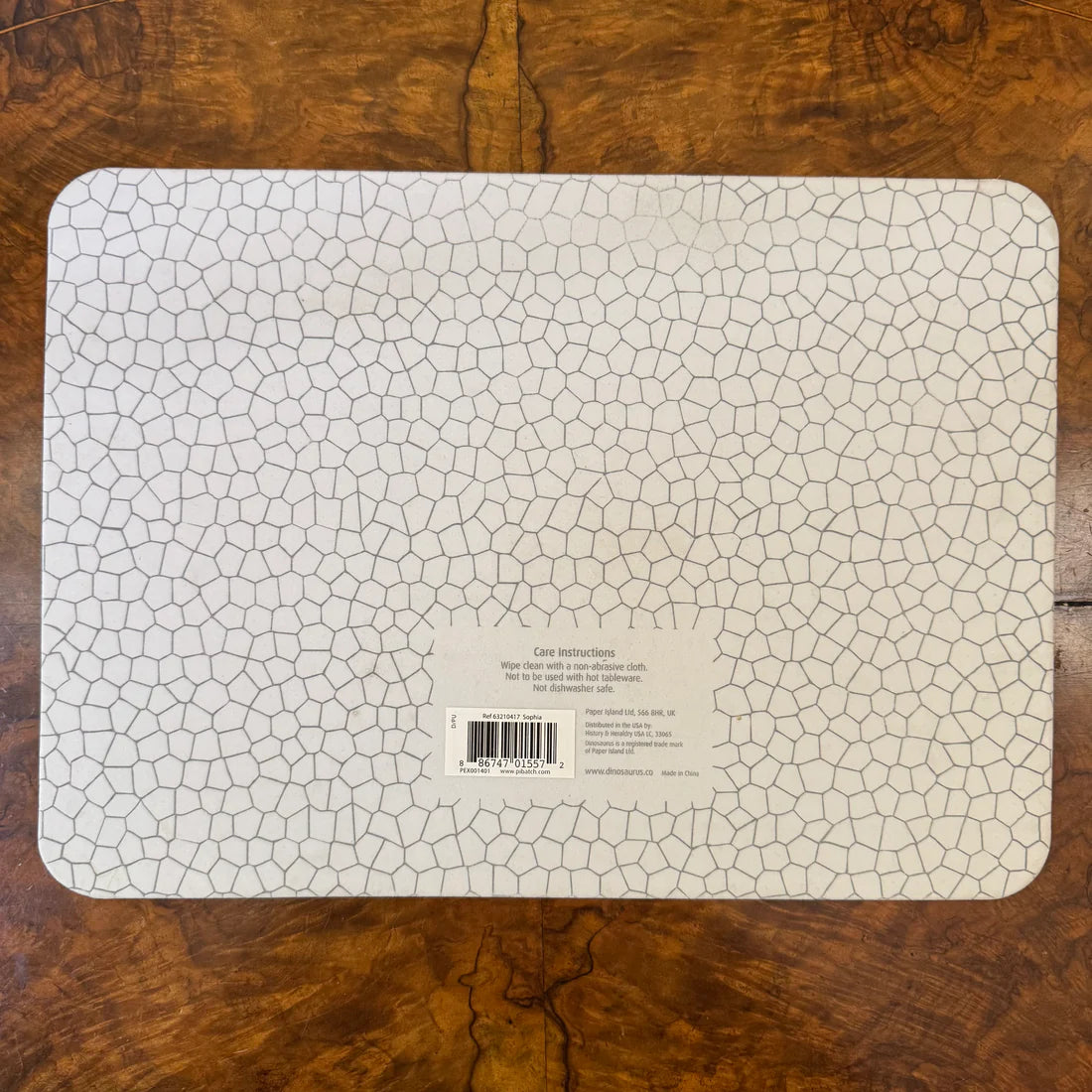 Dinosaurs 3D Placemat Sophia