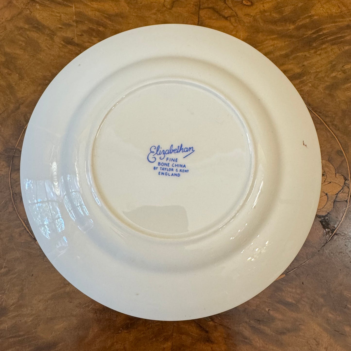 Elizabethan Rose Print Plate 
