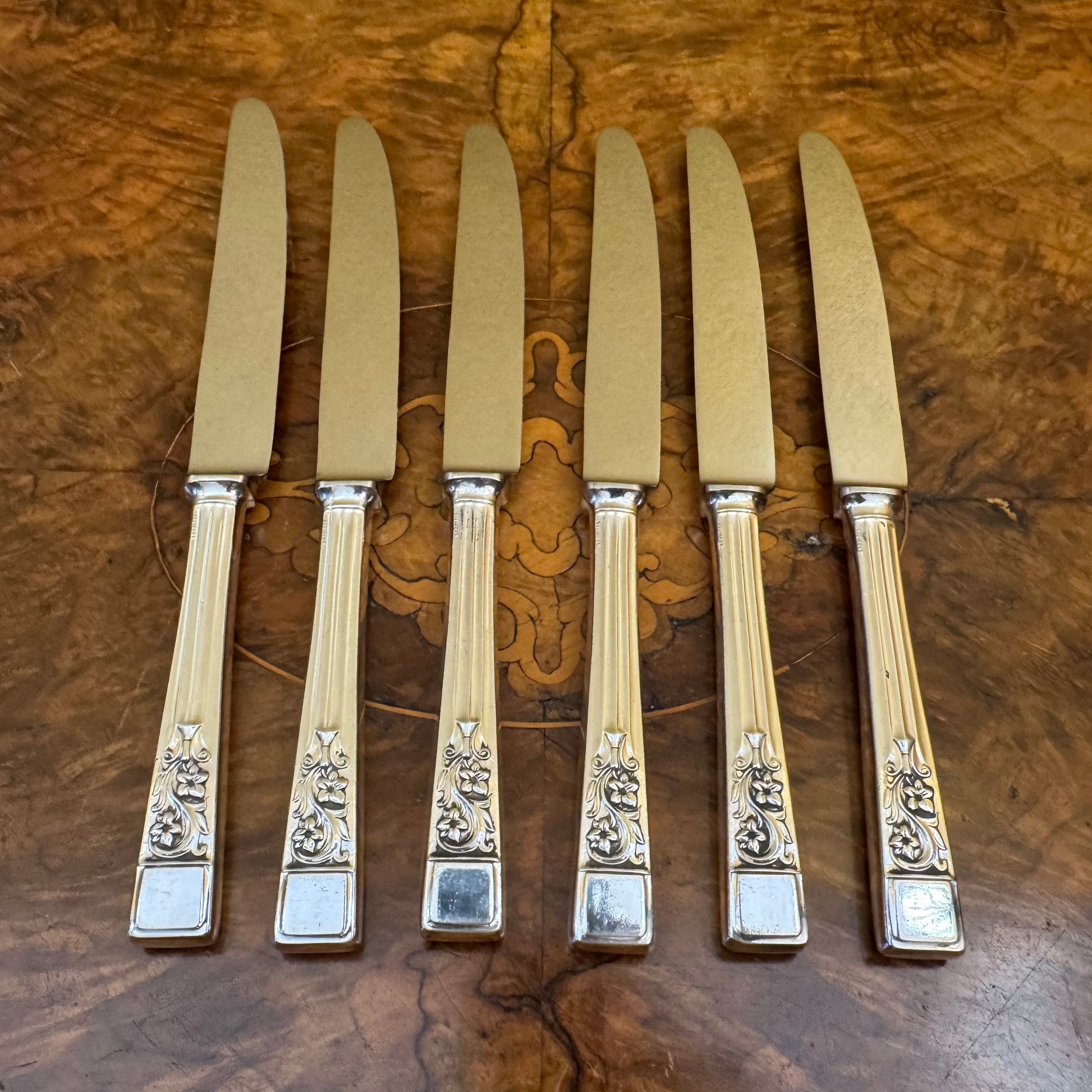 English Sheffield Springtime Silver Plate Knives 
