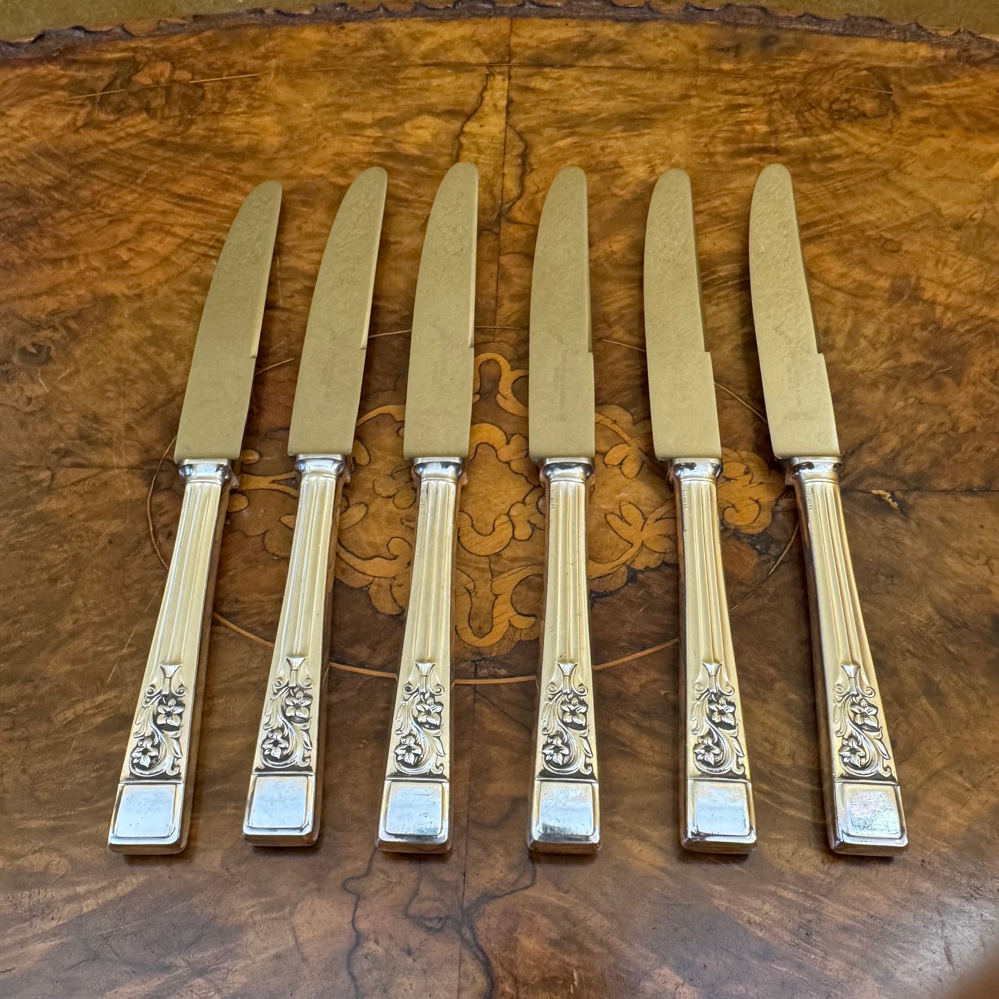 English Sheffield Springtime Silver Plate Knives Set