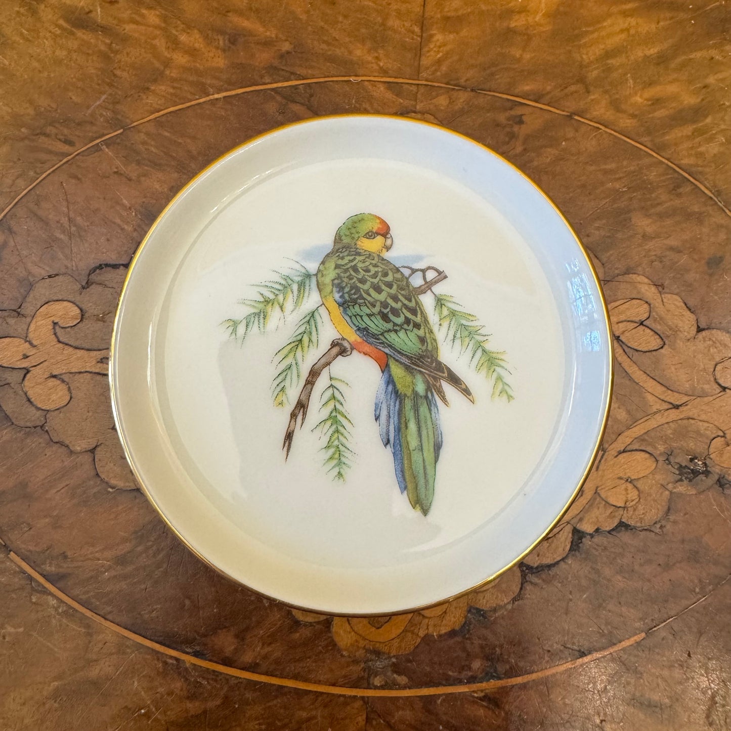 Fürstenberg Bird Print Small Dish Coaster 