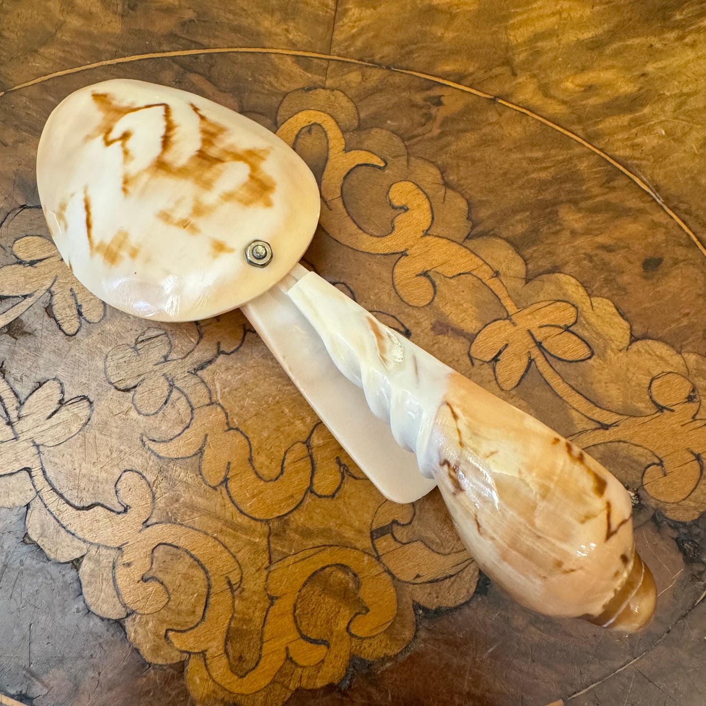 Hand Carved Conch Sea Shell Spoon