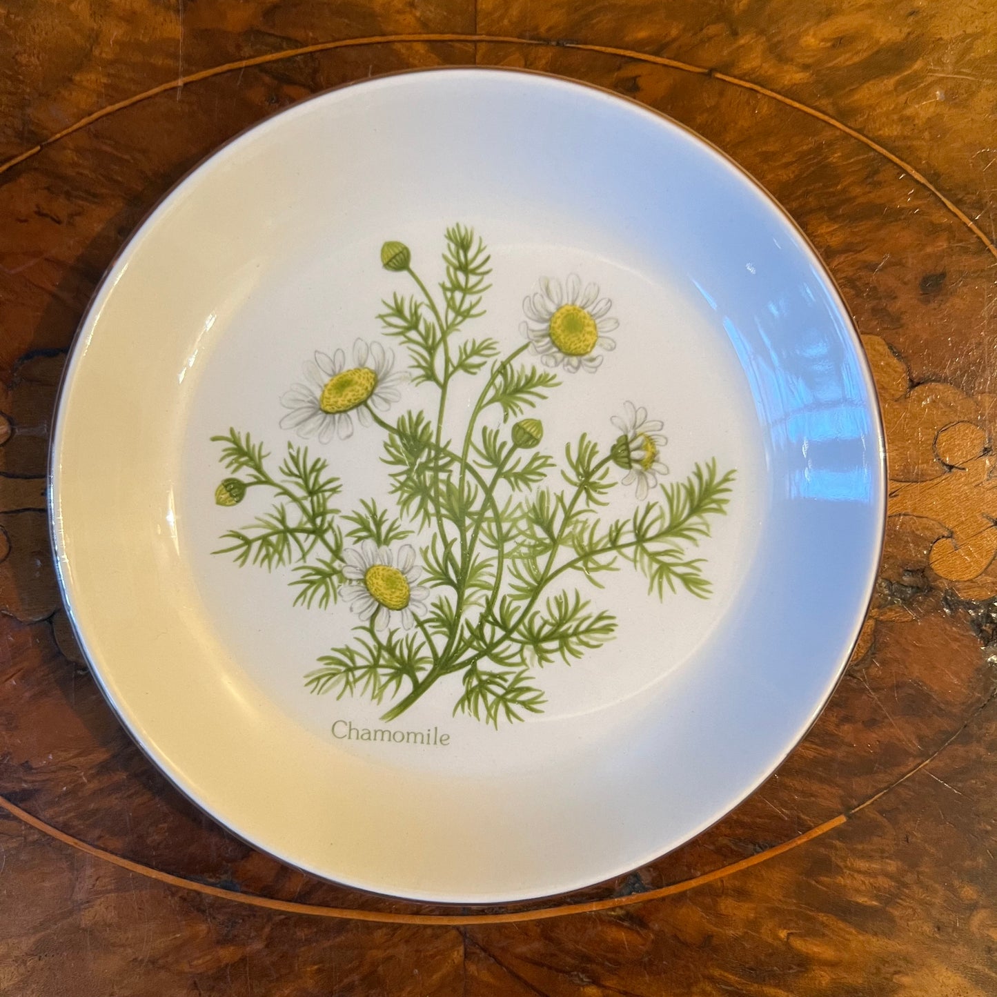 Weatherby Falcon Ware Chamomile Print Small Dish