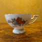 Vintage Thomas Bavaria Tea Cup & Saucer