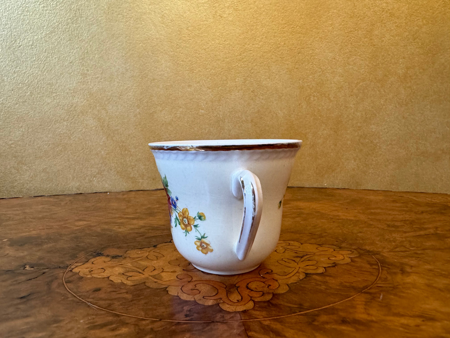 Vintage Portland Pottery Cobridge Tea Cup