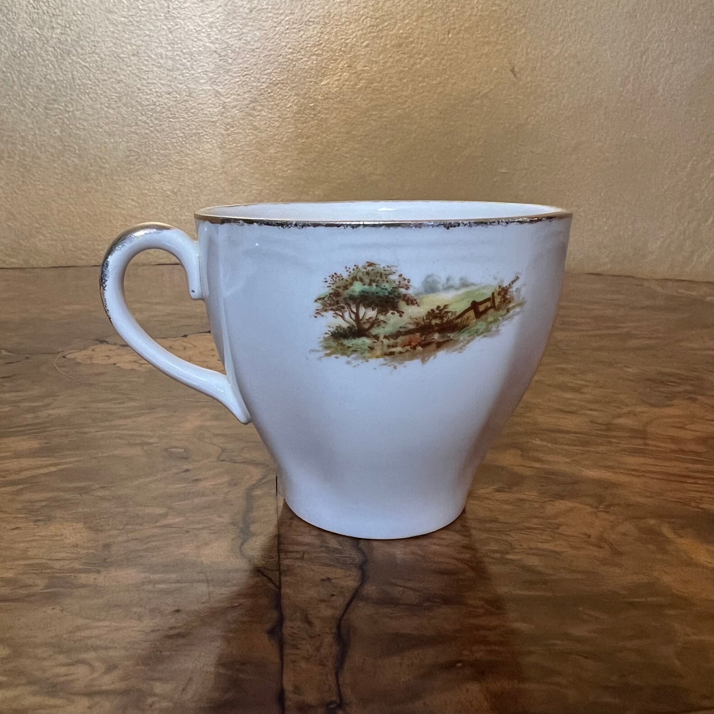 Vintage Alfred Meakin Cottage Print Tea Cup & Saucer