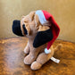 Christmas Dog
