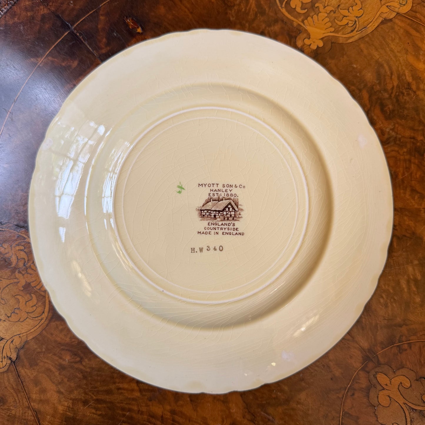 Vintage Myott & Sons Henley Countryside 53 Piece Dinner Set