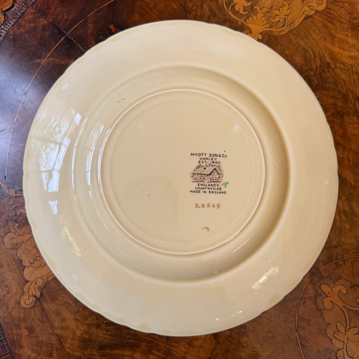 Vintage Myott & Sons Henley Countryside 53 Piece Dinner Set