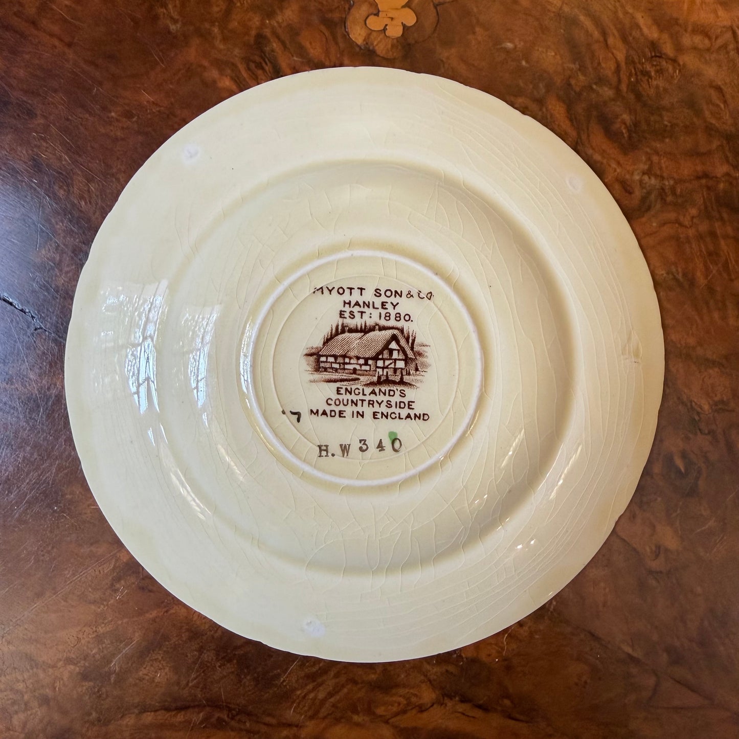 Vintage Myott & Sons Henley Countryside 53 Piece Dinner Set