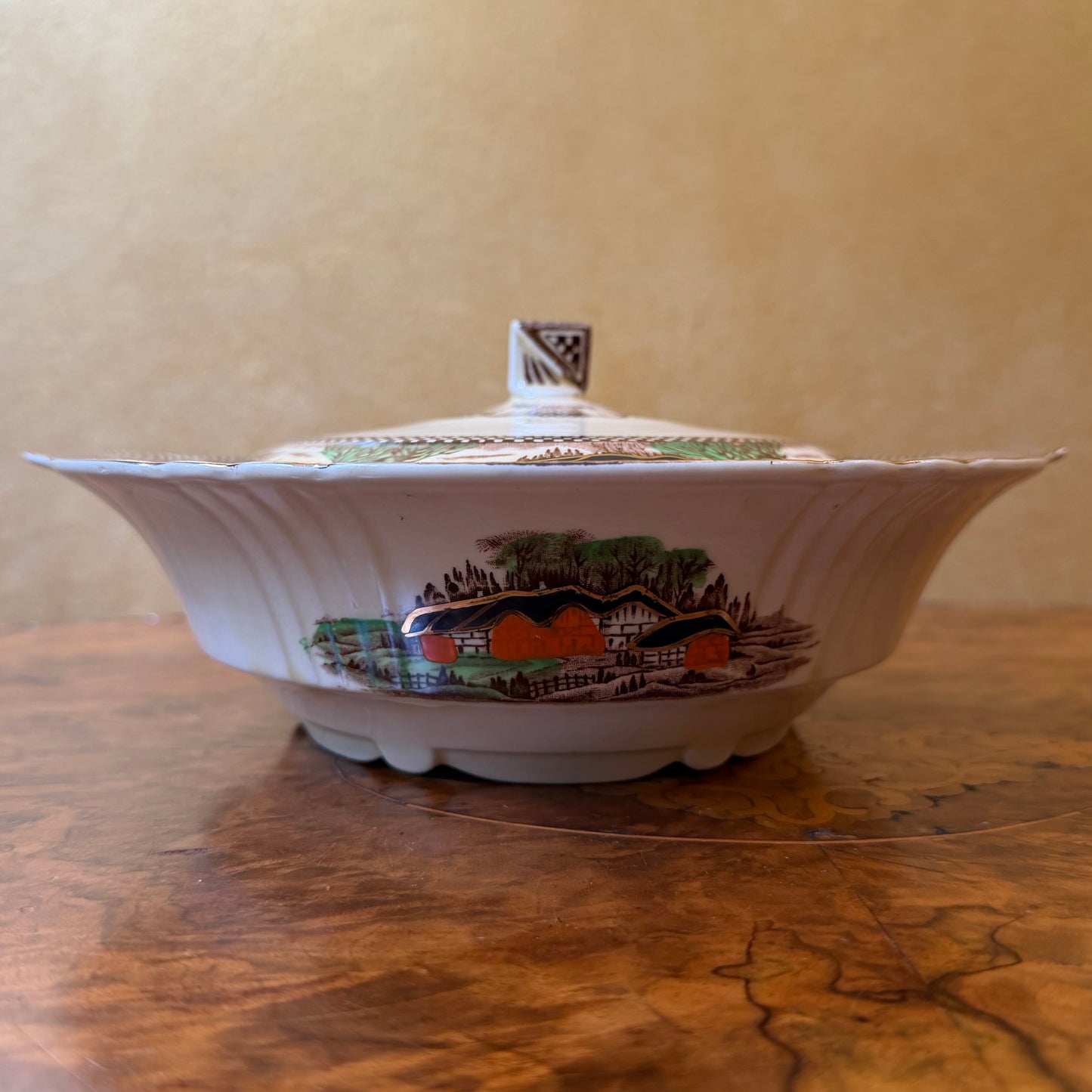 Vintage Myott & Sons Henley Countryside 53 Piece Dinner Set