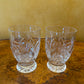 Waterford Pineapple Hospitality Crystal Glasses Pair