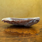 Vintage Mother of Pearl Shell