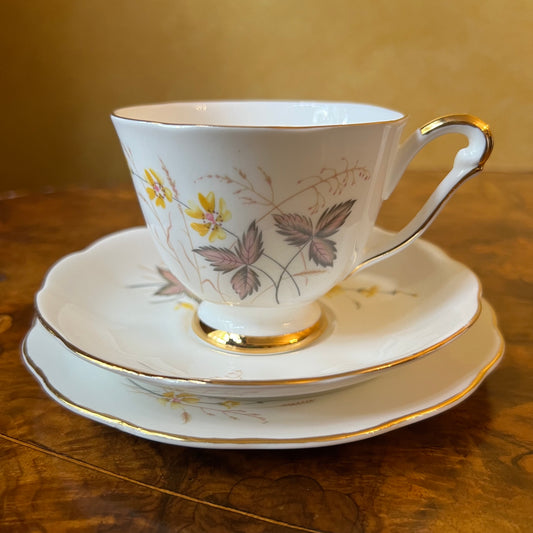 Vintage Queen Anne Jasmine Tea Cup Trio Set