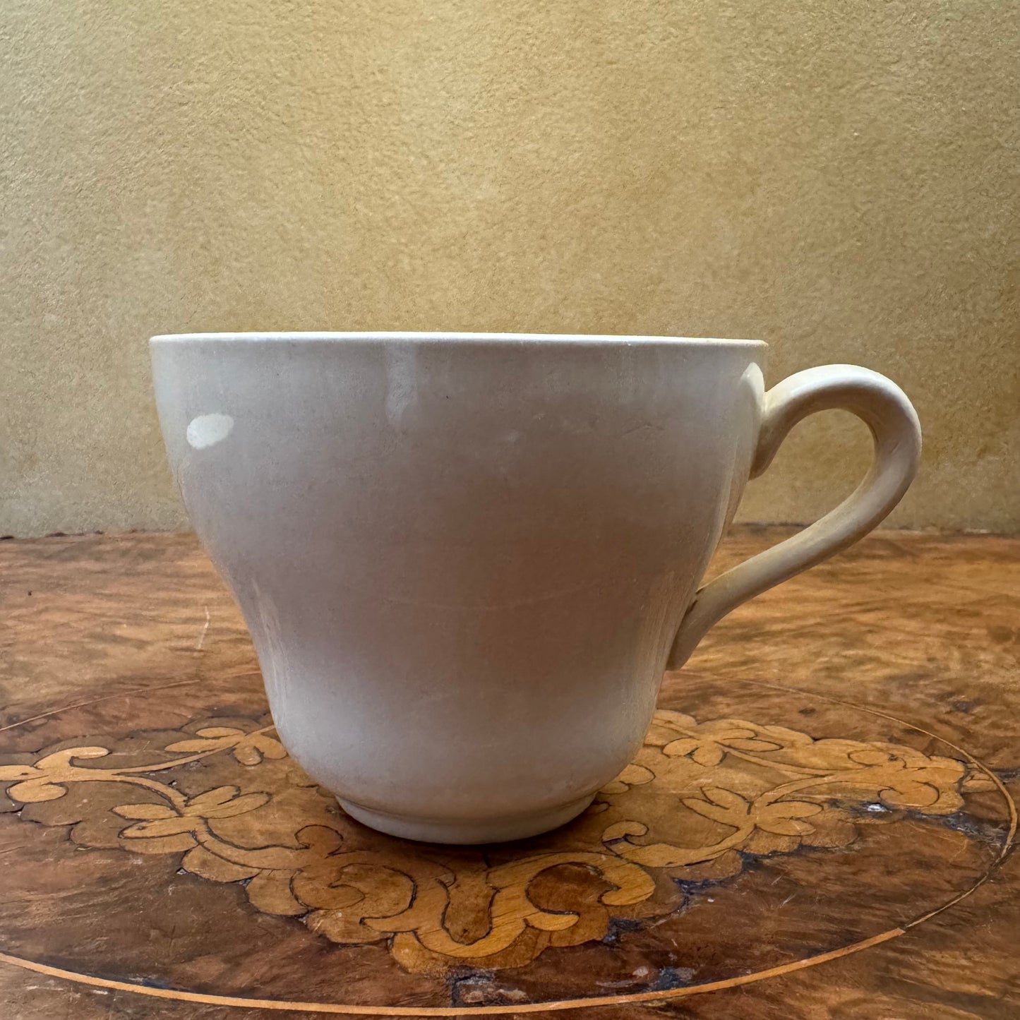 Vintage Royal Tudor Ware Primrosa Yellow Tea Cup & Saucer