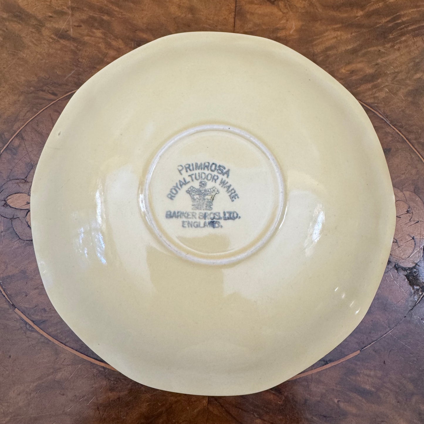 Vintage Royal Tudor Ware Primrosa Yellow Tea Cup & Saucer