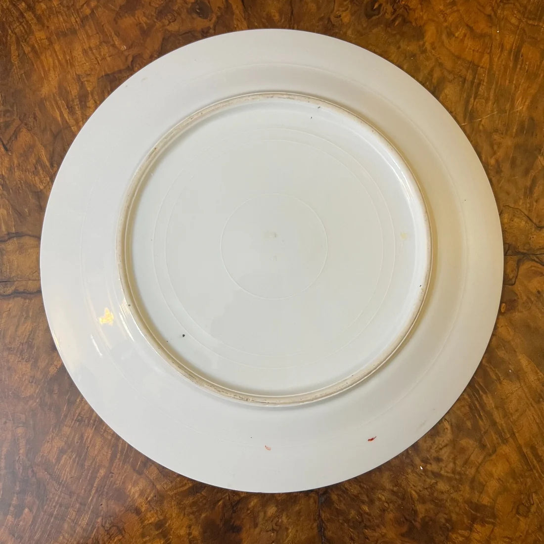 Japanese Satsuma Moriage Hand Painted Plate