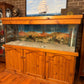 Large Fish Tank & Cabinet