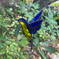 Vintage Lead Light Fairy Swallow Bird Hanging Ornament