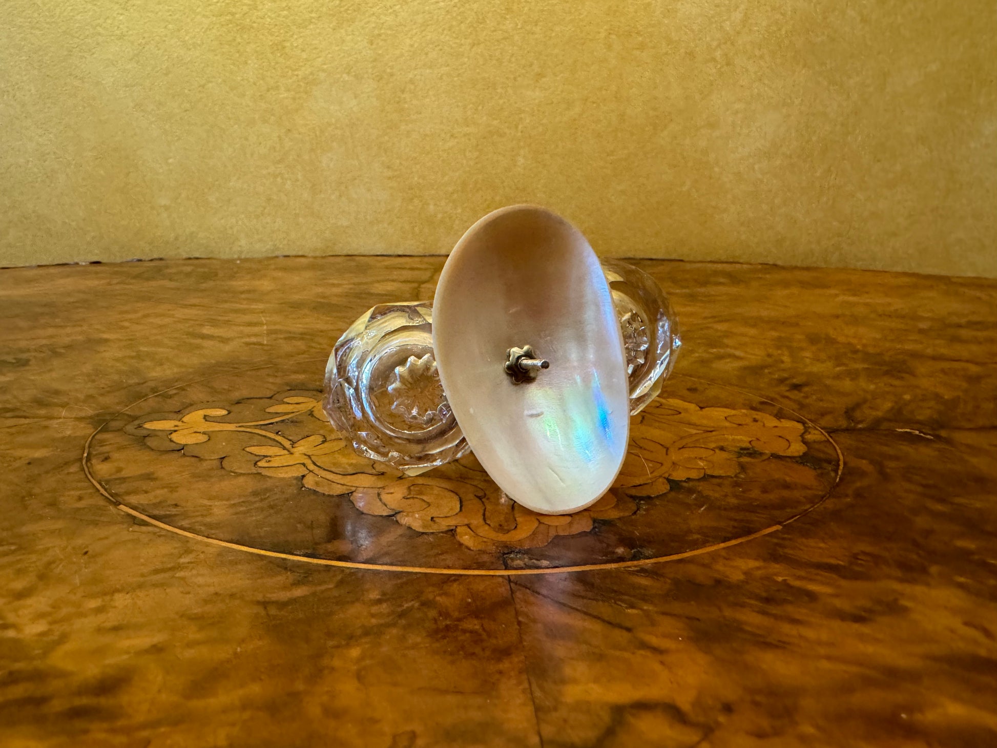 Mother Of Pearl Crystal Open Salts Shell