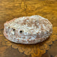 Mother of Pearl Shell Dish 