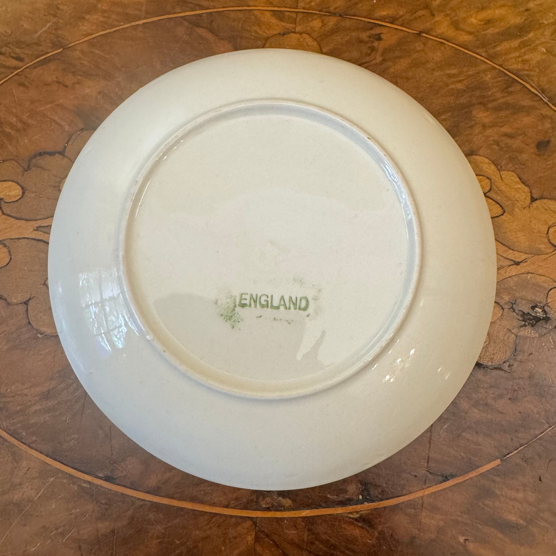 Myott Green Ivy Leaves Print Small Dish 