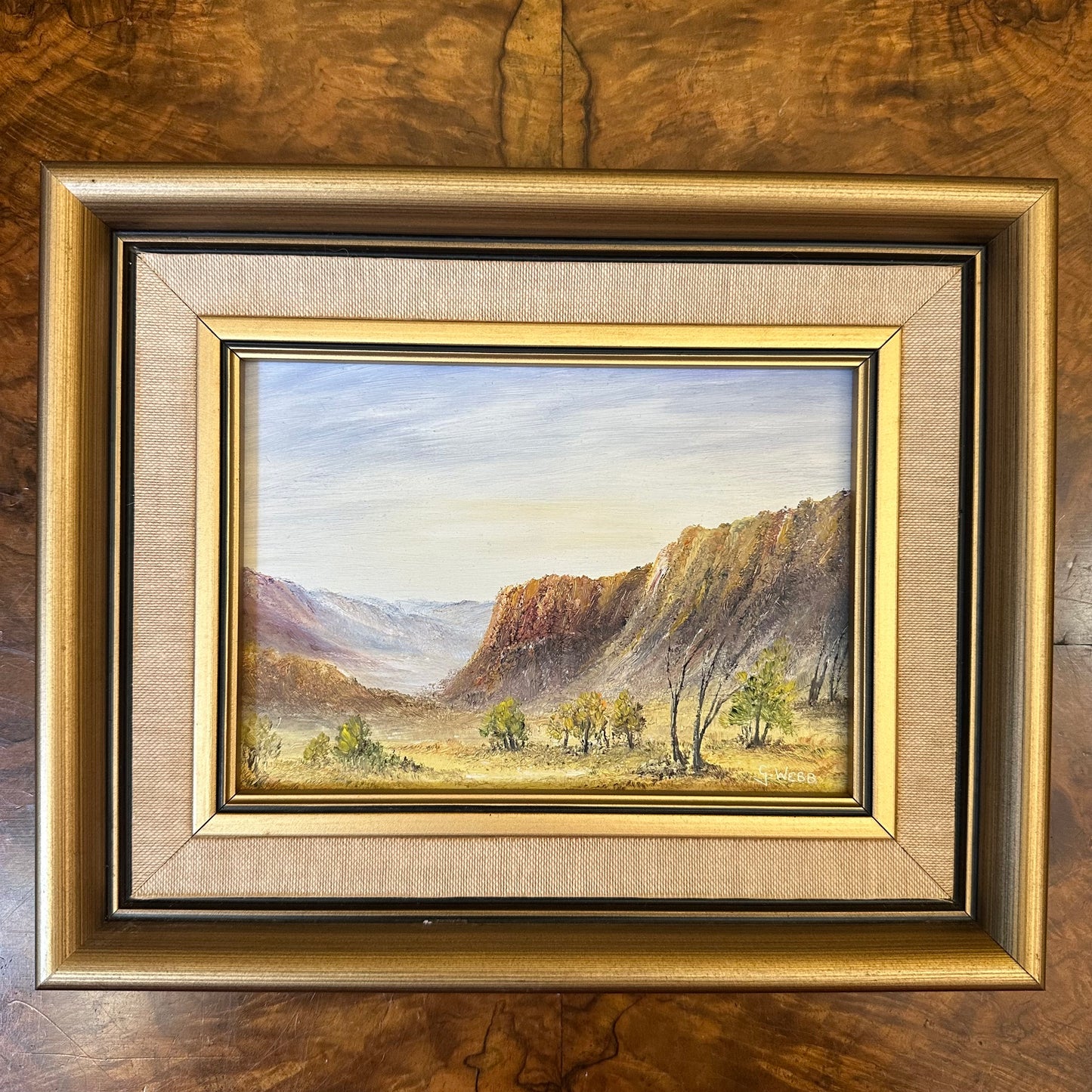 Oil Painting Of The Flinders Ranges By Gordon Webb