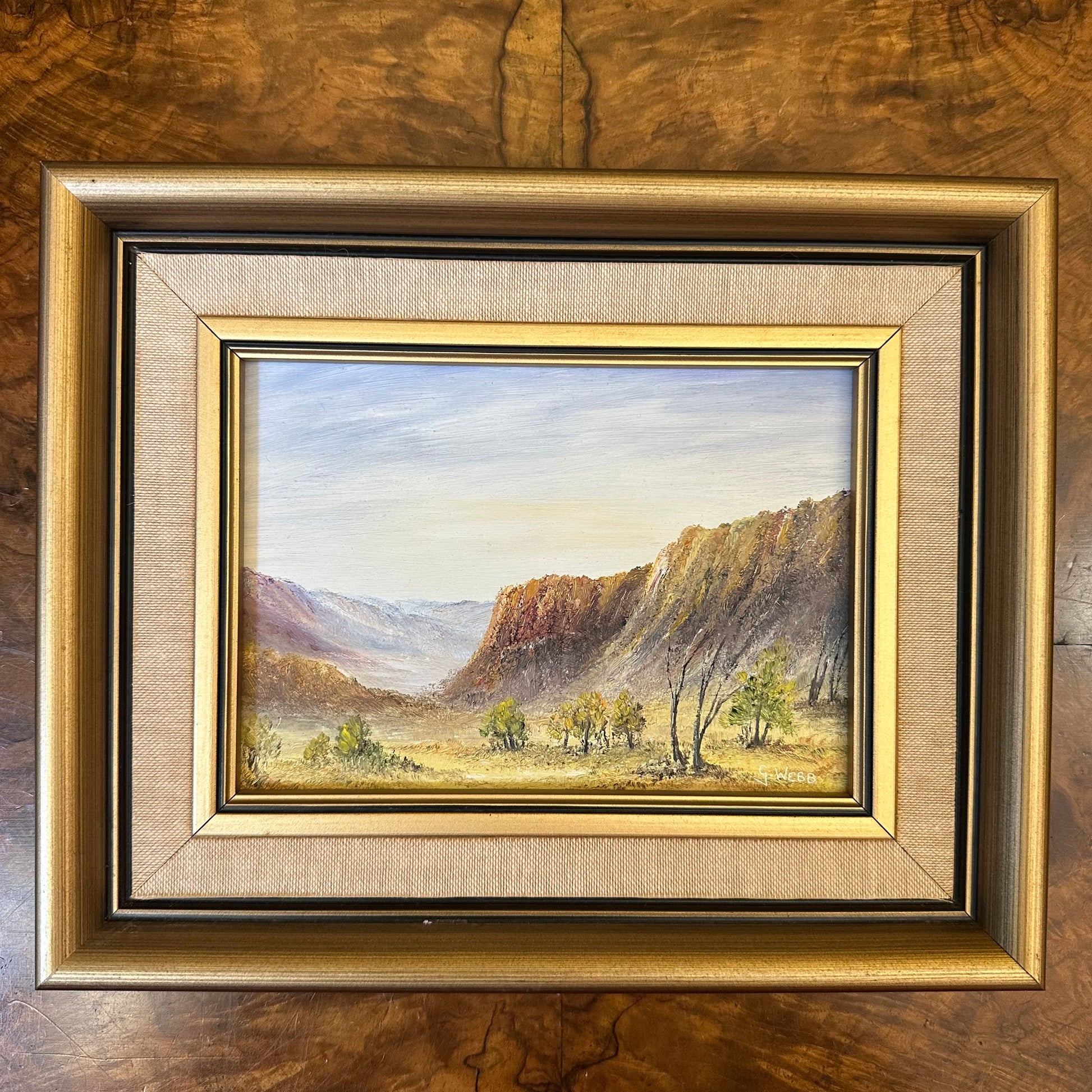 Oil Painting Of The Flinders Ranges By Gordon Webb